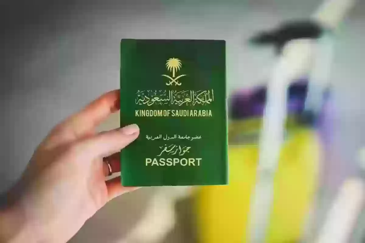 للزيارة والعمل | الاستعلام عن صدور تأشيرة من القنصلية السعودية برقم الجواز