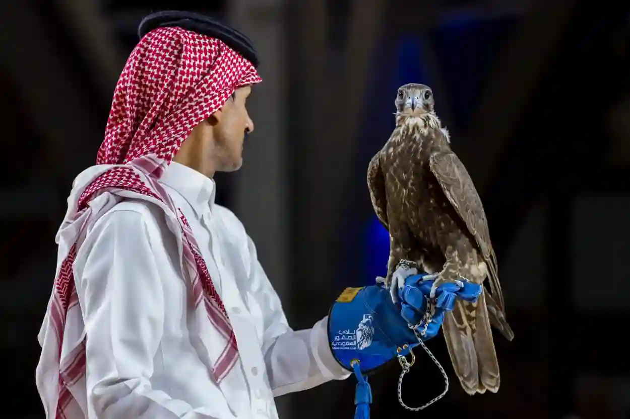 بيع صقرين من منغوليا