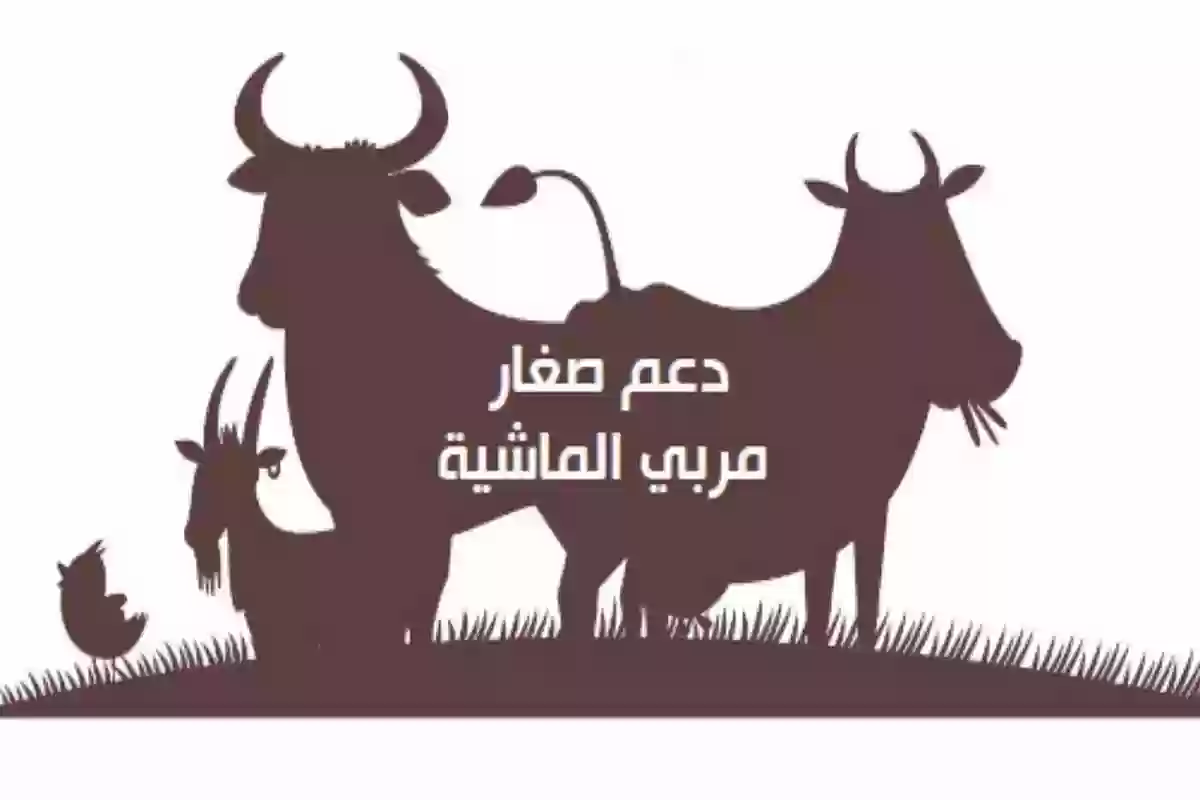 الاستعلام عن دعم مربي المواشي .. وزارة الزراعة تُعلن