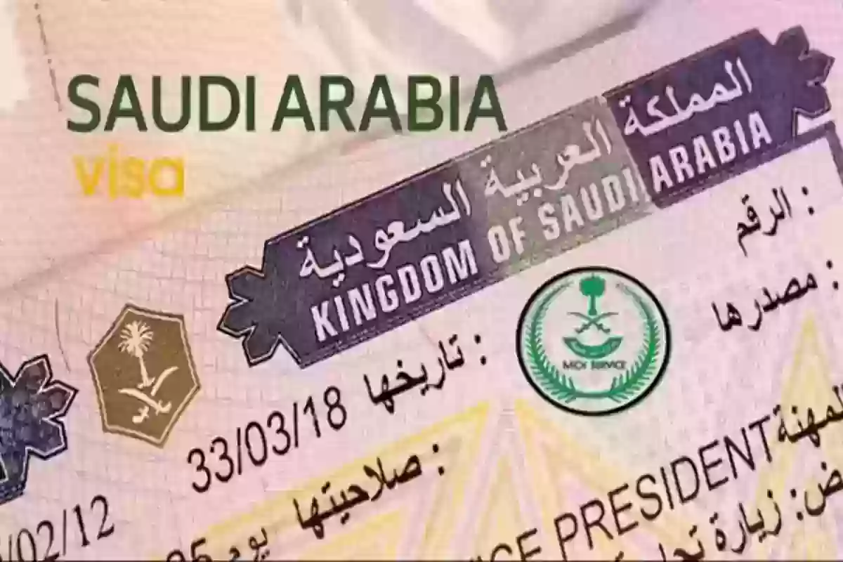 برقم الجواز أو الطلب | طريقة الاستعلام عن تأشيرة في المملكة خطوة بخطوة