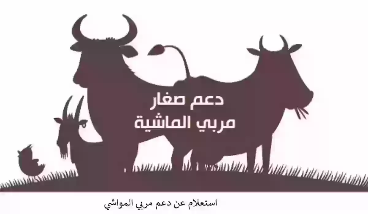 كيفية الاستعلام عن دعم المواشي عبر النفاذ الوطني 1445 وأبرز الشروط المطلوبة للحصول على دعم