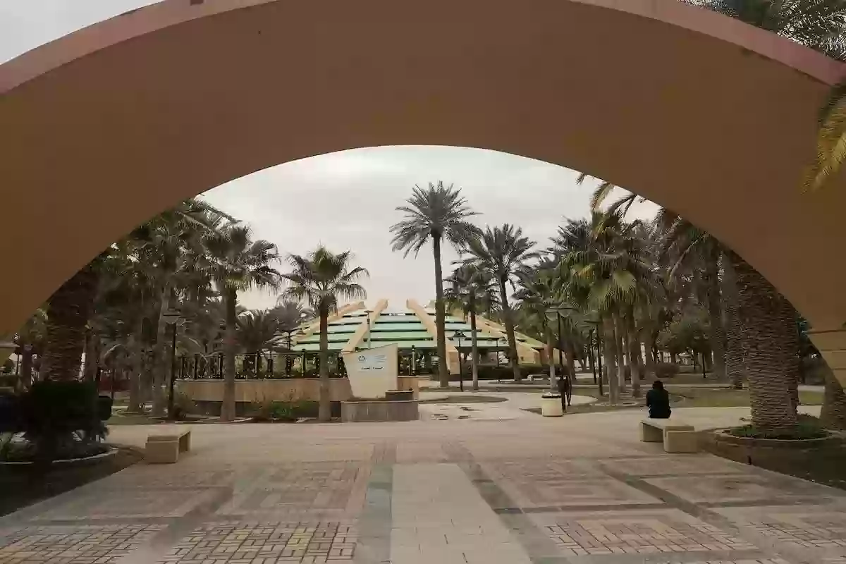 ترفيه 24 ساعة | موقع حديقة العليا في السعودية وسعر التذكرة وأهم الأنشطة