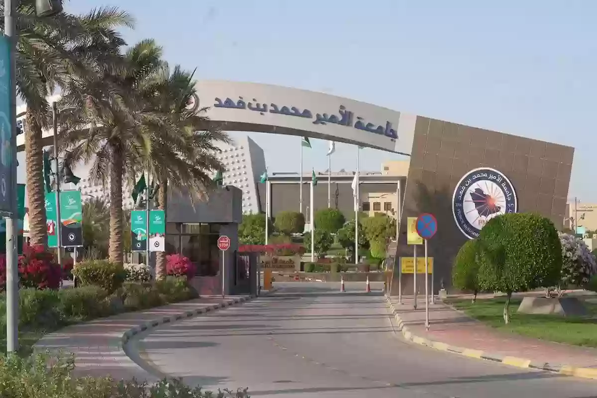 تخصصات جامعة الامير محمد بن فهد ونسب القبول فيها